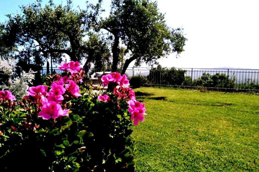 Casa Vista Mare - Superb Garden And Parking Included Villa Imperia Dış mekan fotoğraf